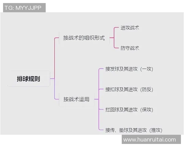 南京排球队整体压制战术解析与实战应用探讨